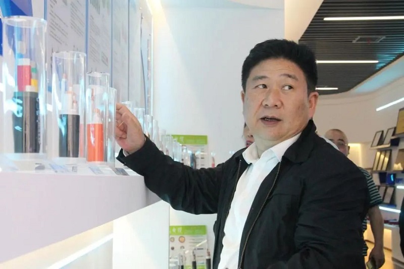 麻豆免费网站電纜有限公司,麻豆免费网站電纜,湖南麻豆免费网站，