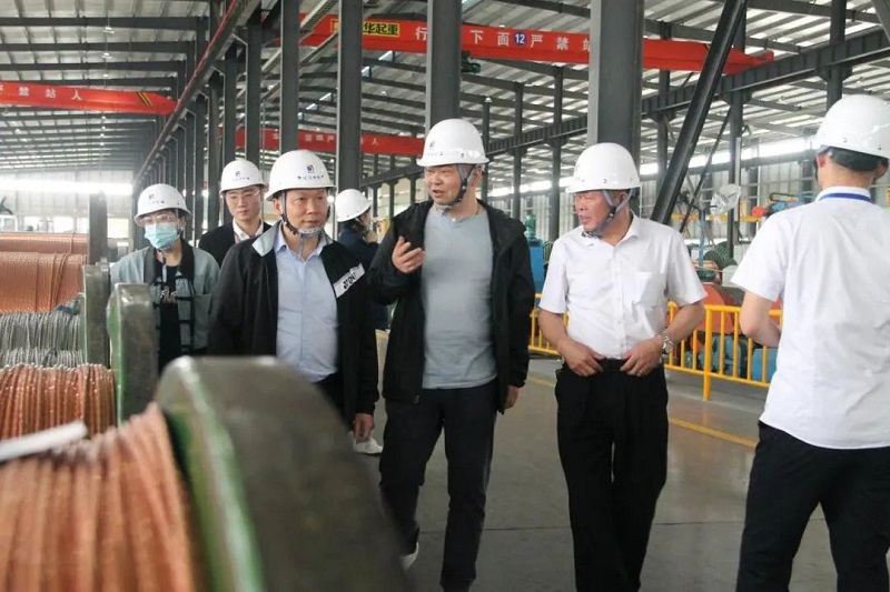 麻豆免费网站電纜有限公司,麻豆免费网站電纜,湖南麻豆免费网站，