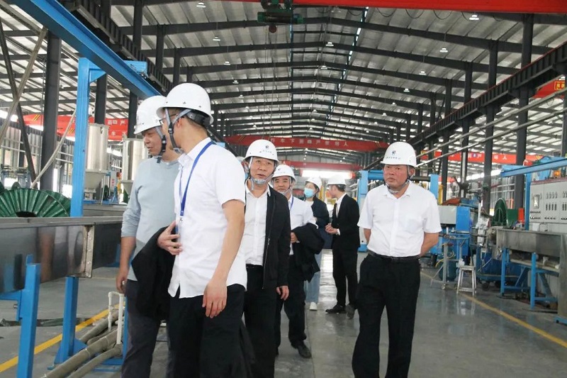 麻豆免费网站電纜有限公司,麻豆免费网站電纜,湖南麻豆免费网站，