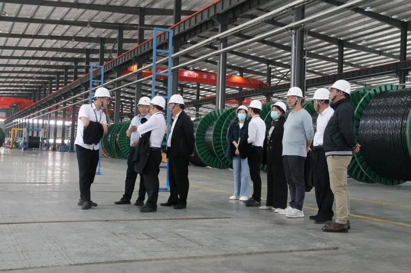 麻豆免费网站電纜有限公司,麻豆免费网站電纜,湖南麻豆免费网站，